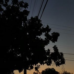 Meet your Posher, Miranda